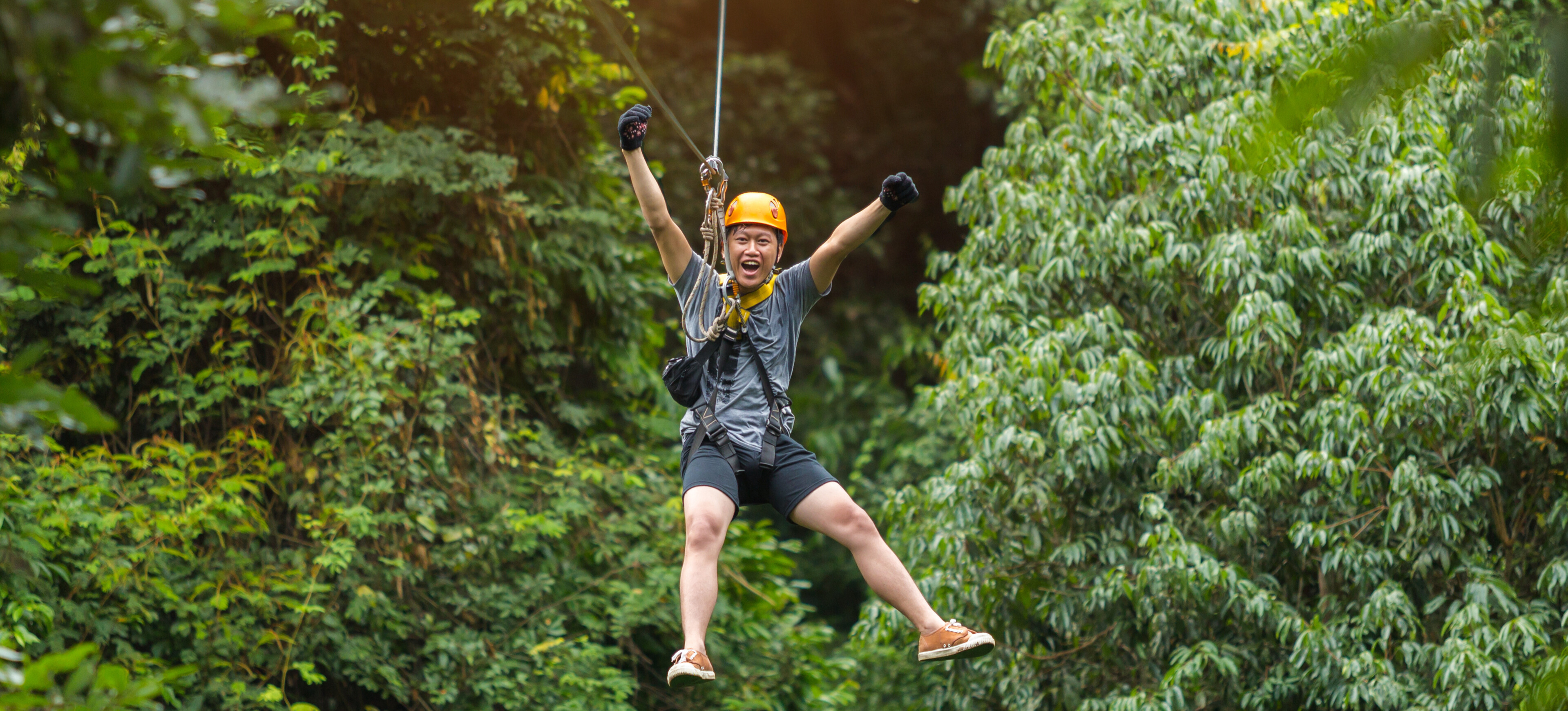 Fe4917ac 0494 4372 99e6 d1d481088a93