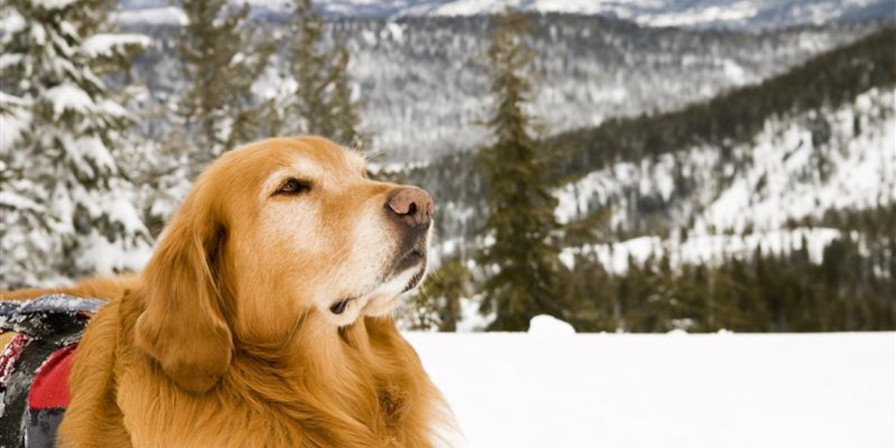 Blog Overlay Graphics 25