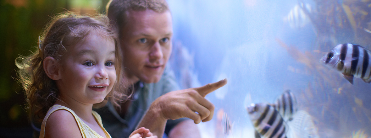 Child and adult looking at fish at an aquarium